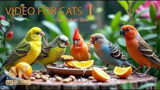 Birds & Squirrels Feast on a Garden Ornament 🐿️ Wildlife Videos for Cats