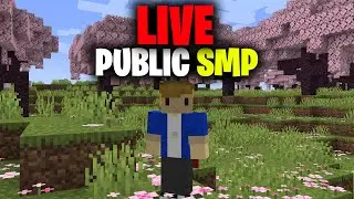 Public Minecraft SMP Server for Java & Bedrock 1.20.1 (Free to Join)