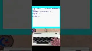 INPUT Bug on Commodore VIC-20 