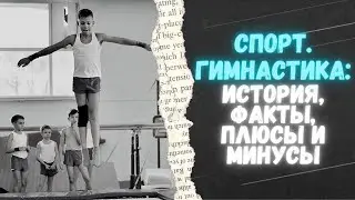 Идеальный спорт для ребёнка - спортивная гимнастика | Спортивный интерес