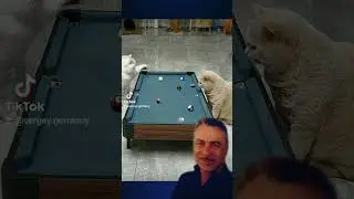 бильярд 😂👍