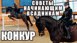 Конкур🏇 Советы начинающим всадникам