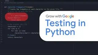 Testing Python for Beginners | Google IT Automation with Python Certificate