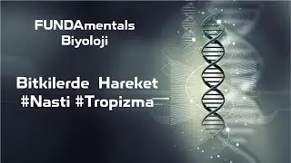 Bitkilerde  Hareket 