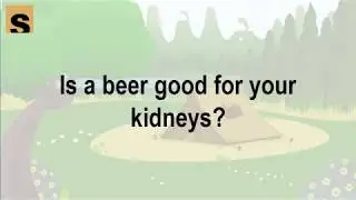 Is a beer good for your kidneys | Makeup Tips