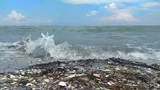 Геническ,Арабатская стрелка.