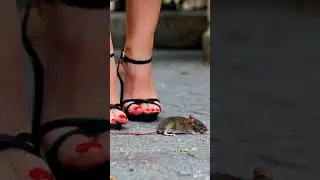 ai girl try to scare a mouse with her high heels