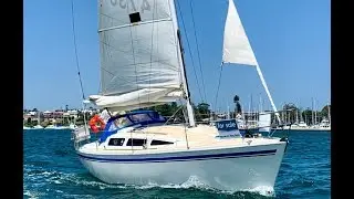 Northshore 33 Cruising Yacht - Walkthrough