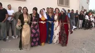 AŞİRET DÜĞÜNÜ GOYİ AŞİRETİ ORTADAKİLER  ÖYLE BİŞEY YAPTI Kİİ !!!!(Foto Deniz Silopi)