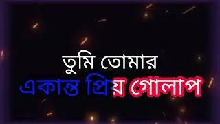 INDALO | Ekanto Golap LYRICS | একান্ত গোলাপ