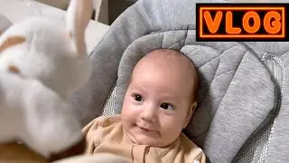 VLOG МУЖ ТИРАН ПОКУПКИ ВАЛБЕРИС Wildberries \ ГОТОВИМ В ДУХОВКЕ МАКОРОНЫ