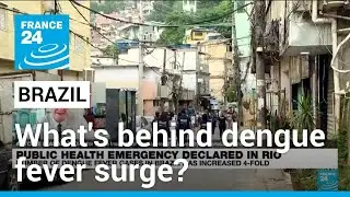 Whats behind Brazils surge in dengue fever? • FRANCE 24 English