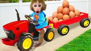 Monkey Baby Bon Bon drives egg cart go to the farm and bathes with duckling in the toilet