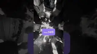 Лица Neti #юмор #1с #программирование  #программист #топ
