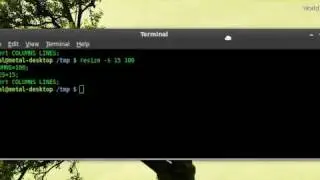 Resize Gnome-Terminal - BASH