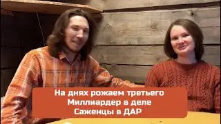 На днях рожаем / Миллиардер в деле / Саженцы в дар