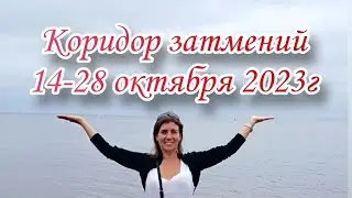 КОРИДОР ЗАТМЕНИЙ: 14 -28 октября 2023 года. Судьбоносный период и время для изменения судьбы