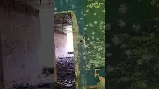 Детский оздоровительный лагерь 《Тимуровец》🏚