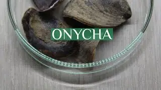 Onycha