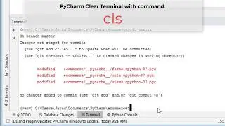 PyCharm Clear Terminal