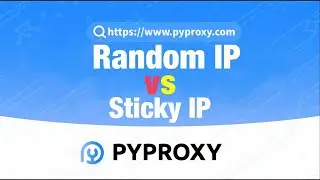 PYPROXY|Random IP vs Sticky IP