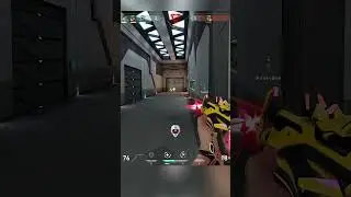 Don't Peek That Reyna