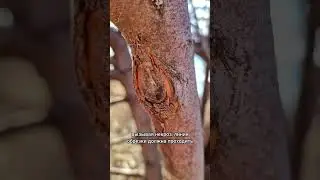 Как правильно делать срез? 