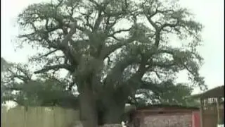 Tunakie - Ila Wutale (Namtunes)
