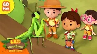 IS THAT AN ALIEN FROM MARS?! 👽 | Interesting Insects | Leo the Wildlife Ranger | Kids Cartoon