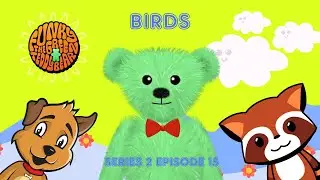 Funky the Green Teddy Bear – Birds. Preschool Fun for Everyone! Series 2 Episode 15