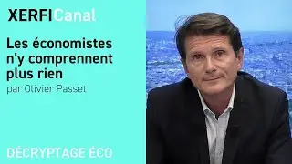 Les économistes n'y comprennent plus rien [Olivier Passet]