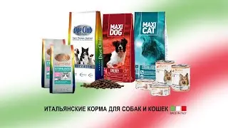 Итальянские корма Dog Club | Вебинар 2022