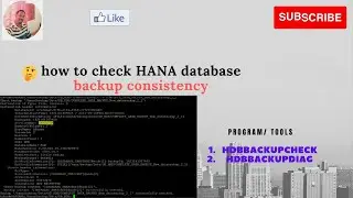 HANA DB backup consistency check tools | HDBBACKUPCHECK | HDBBACKUPDIAG