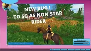 star stable/NEW BUG !