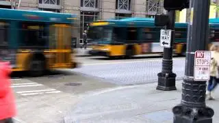 Shelly Hall's Pedestrian Safety Awareness for DRIVE 2015