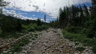 Birds Singing by River - relaxing sounds of nature