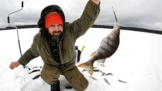 Сямозеро снова раздаёт, удачная рыбалка в сильный ветер!