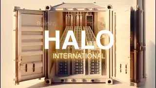 Halo International