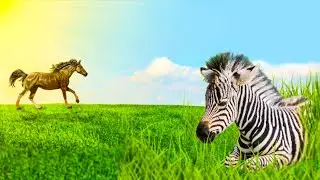 Лошадка на зарядку – Наталия Лансере – Детская веселая песенка