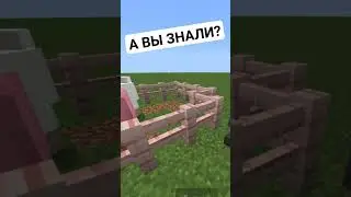 А вы знали #minecraftpe #майнкрафтпе #shorts  #майнпе #mcpe #tiktok #minecraft