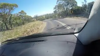 Very Chilled Australian Echidna Crossing The Road