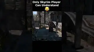 Only Skyrim Player Can Understand 😂 