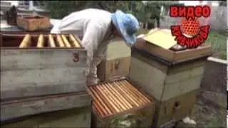 Видео Кривчикова Расширяем вощиной