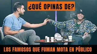 Los FAMOSOS y la M0T4 ¿Estás de ACUERDO?