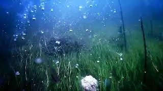 Прозрачная вода Утёсного озера