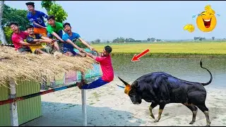 Must Watch New Special Comedy Video 2024 😎Totally Amazing Comedy Episode 310 by @beenfuntv