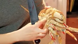 Mr Krabs money money money Ahhh Ahhh Ahhhm / scream meme