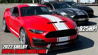 3 Shelby Super Snake Mustang's w/ 825hp Being Delivered [4K]