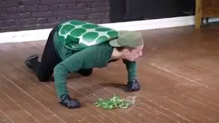 Черепаха