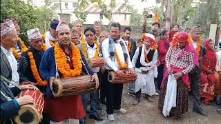 Danghali bhailo nach || Dang tihar bhailo 2080 || kamal gaule dancing